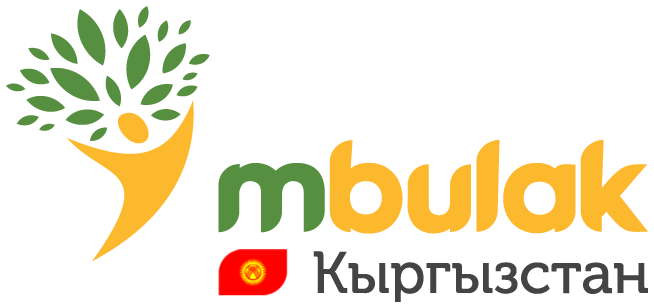 ОсОО «МКК «М Булак» 